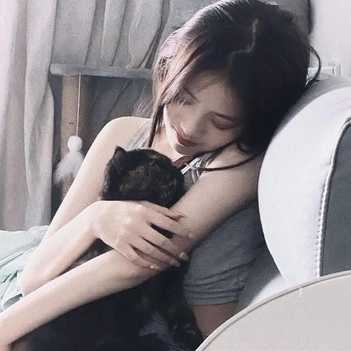 星耀女孩:好莱坞篇